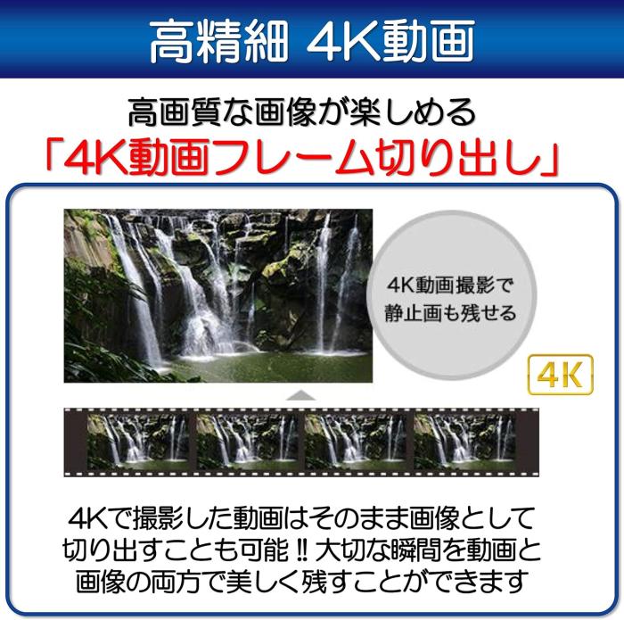 PowerShot SX740 HS [ブラック] 商品画像6：沙羅の木 plus