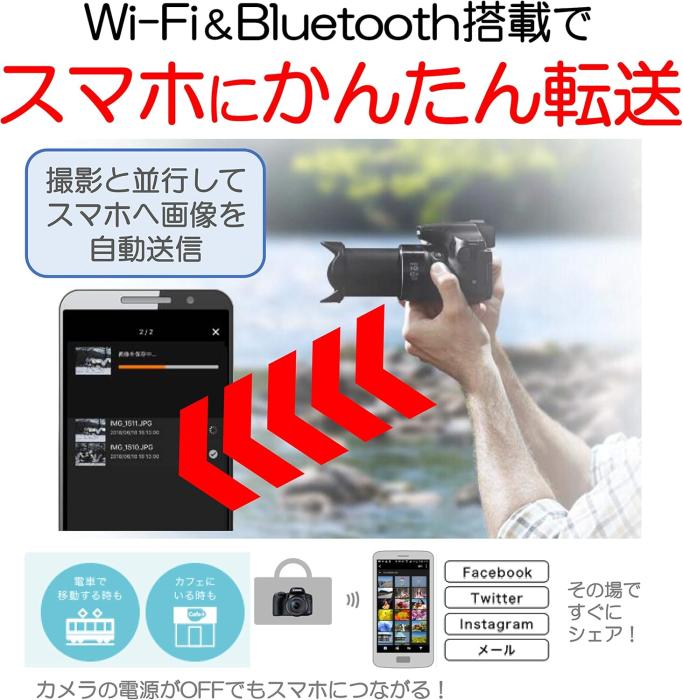 PowerShot SX70 HS 商品画像12：沙羅の木 plus