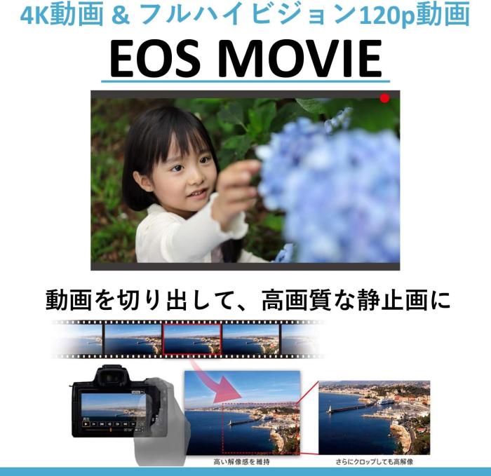 EOS M6 Mark II EF-M18-150 IS STM レンズキット [シルバー] 商品画像20：沙羅の木 plus