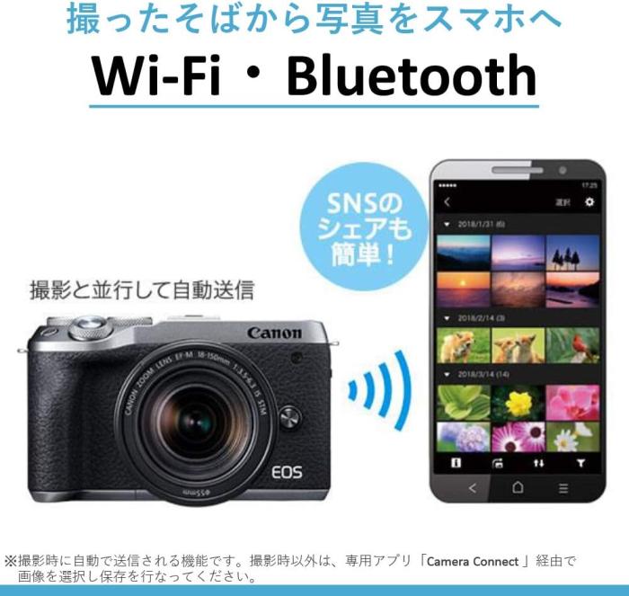 EOS M6 Mark II EF-M18-150 IS STM レンズキット [シルバー] 商品画像22：沙羅の木 plus