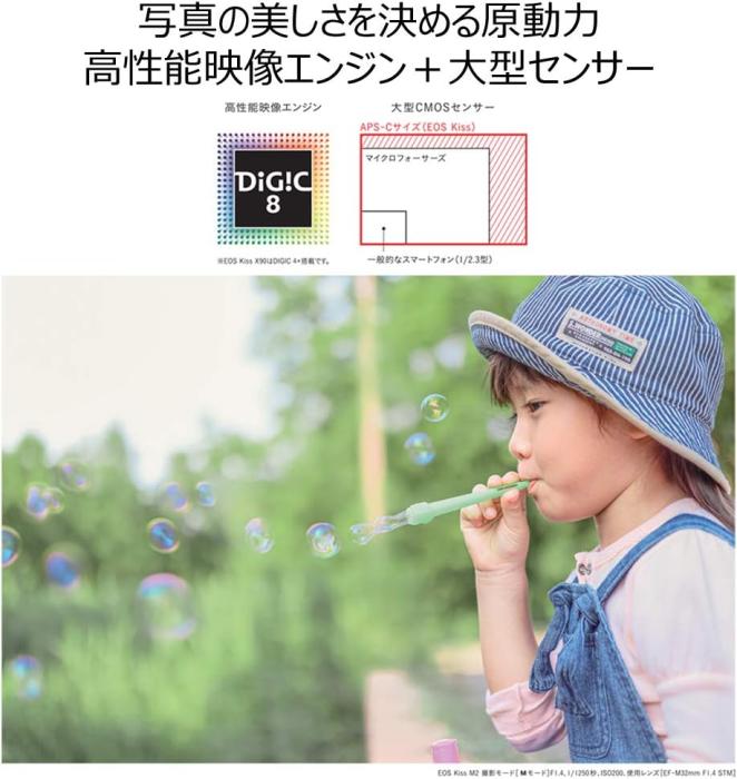 EOS Kiss M2 ダブルズームキット [ブラック] 商品画像5：沙羅の木 plus