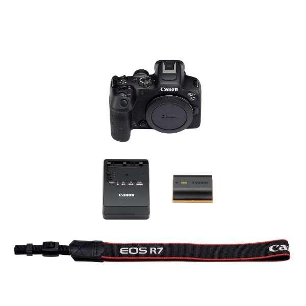 EOS R7 ボディ 商品画像13：沙羅の木 plus