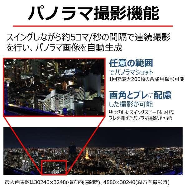 EOS R7 ボディ 商品画像23：沙羅の木 plus