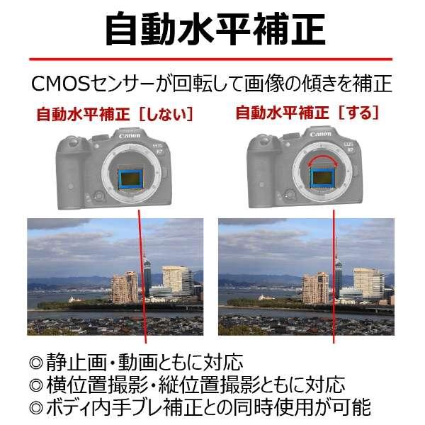 EOS R7 ボディ 商品画像24：沙羅の木 plus