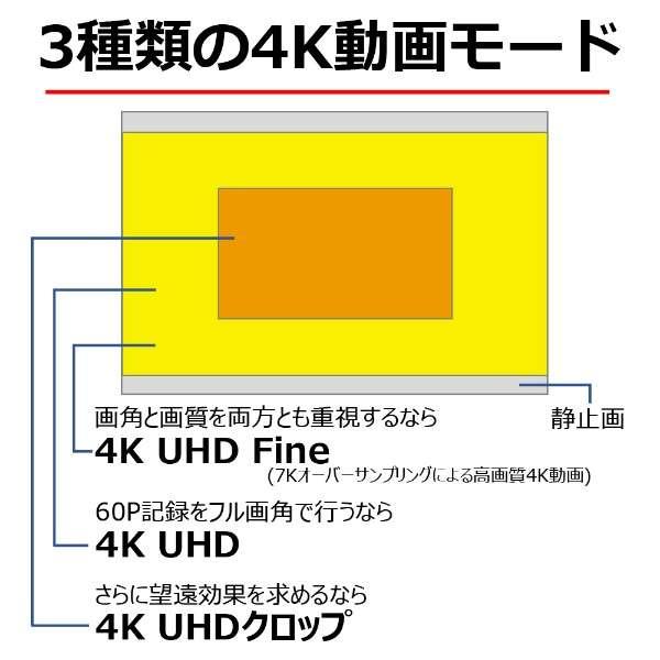 EOS R7 ボディ 商品画像25：沙羅の木 plus