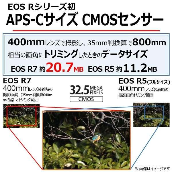 EOS R7 ボディ 商品画像17：沙羅の木 plus