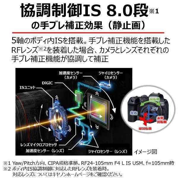 EOS R7 ボディ 商品画像19：沙羅の木 plus