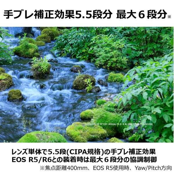 RF100-400mm F5.6-8 IS USM 商品画像4：沙羅の木 plus