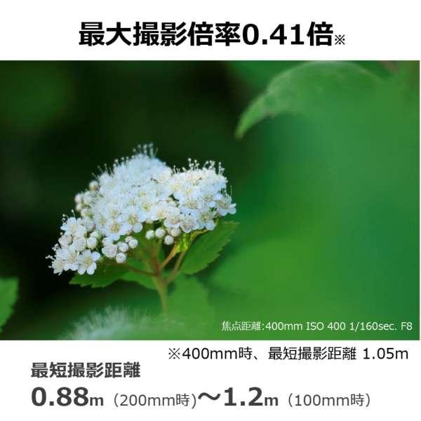 RF100-400mm F5.6-8 IS USM 商品画像5：沙羅の木 plus