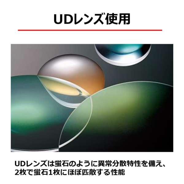 RF100-400mm F5.6-8 IS USM 商品画像6：沙羅の木 plus