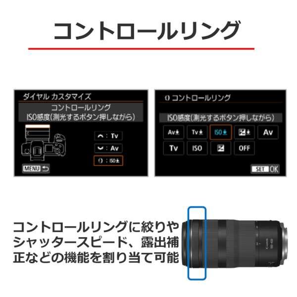 RF100-400mm F5.6-8 IS USM 商品画像7：沙羅の木 plus