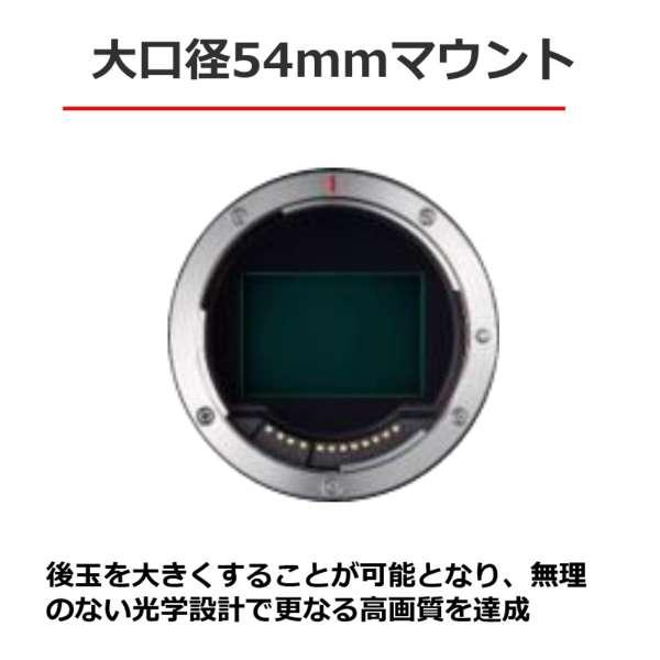 RF100-400mm F5.6-8 IS USM 商品画像8：沙羅の木 plus