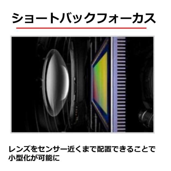 RF100-400mm F5.6-8 IS USM 商品画像9：沙羅の木 plus