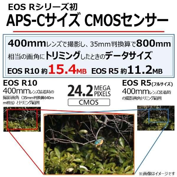 EOS R10 ボディ 商品画像8：沙羅の木 plus