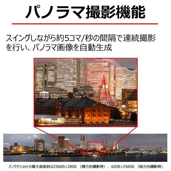 EOS R10 ボディ 商品画像14：沙羅の木 plus