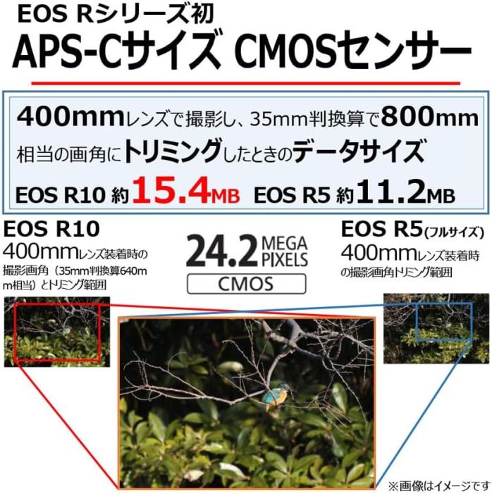 EOS R10 RF-S18-150 IS STM レンズキット 商品画像4：沙羅の木 plus