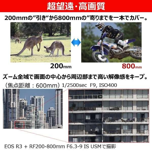 RF200-800mm F6.3-9 IS USM 商品画像3：沙羅の木 plus