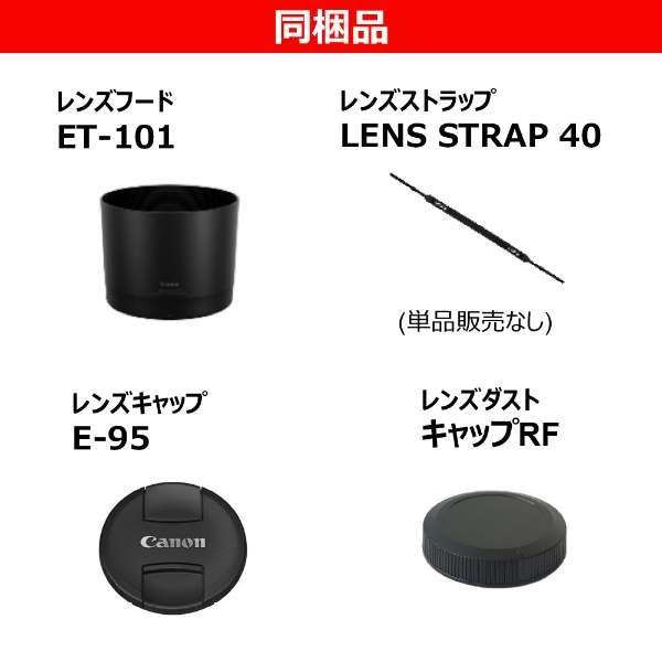 RF200-800mm F6.3-9 IS USM 商品画像8：沙羅の木 plus