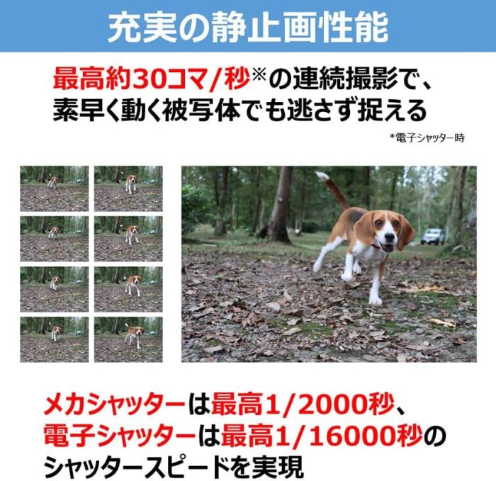 PowerShot V1 商品画像10：沙羅の木 plus