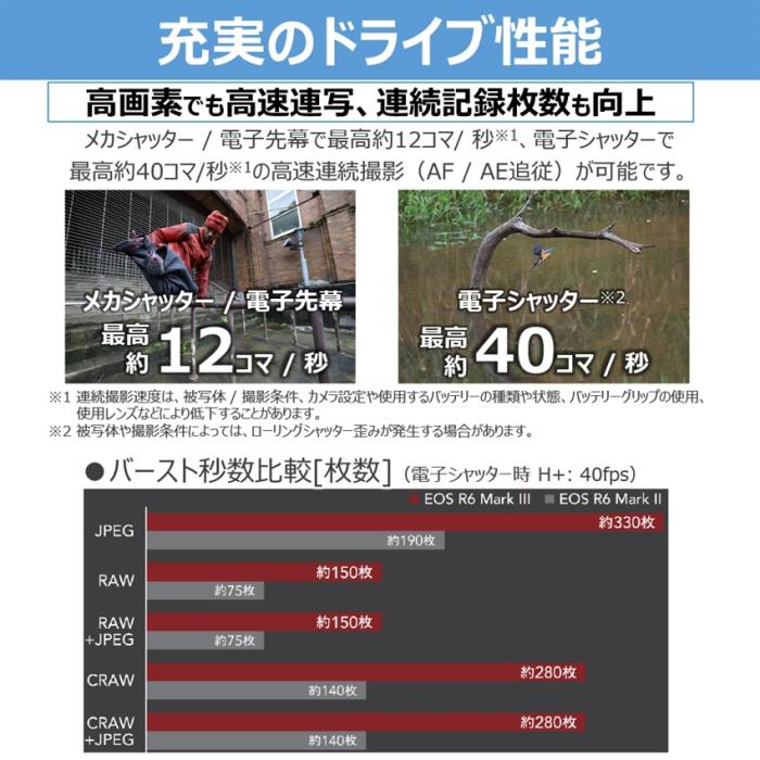 EOS R6 Mark III RF24-105 IS STM レンズキット 商品画像3：沙羅の木 plus