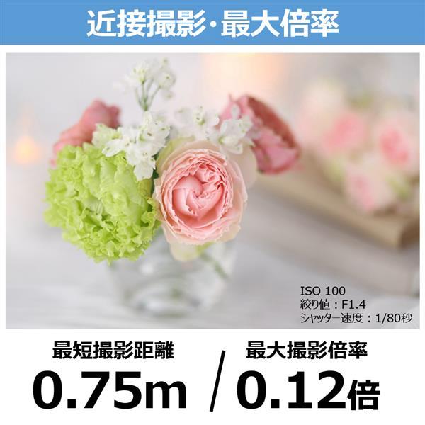 RF85mm F1.4 L VCM 商品画像6：沙羅の木 plus