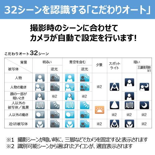 IXY 650 m [シルバー] 商品画像6：沙羅の木 plus