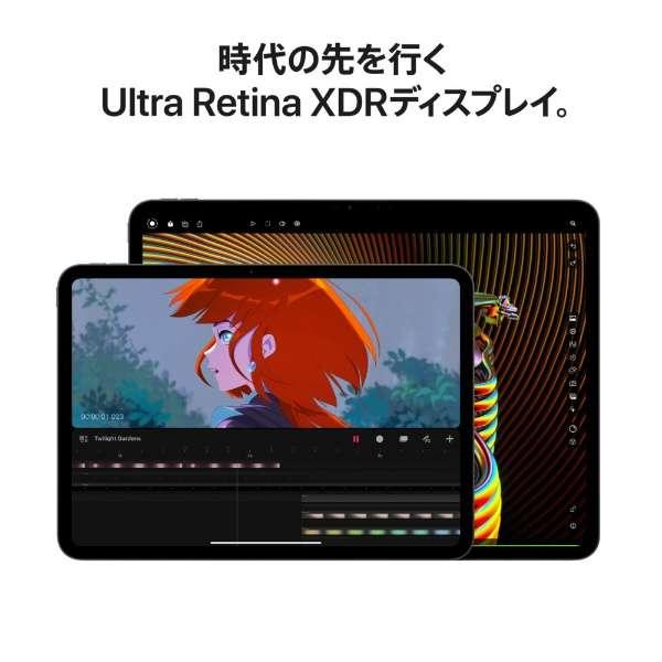 iPad Pro 11インチ Wi-Fi 256GB 2024年春モデル MVV83J/A [スペースブラック] 商品画像6：沙羅の木 plus