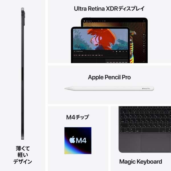 iPad Pro 11インチ Wi-Fi 256GB 2024年春モデル MVV83J/A [スペースブラック] 商品画像9：沙羅の木 plus