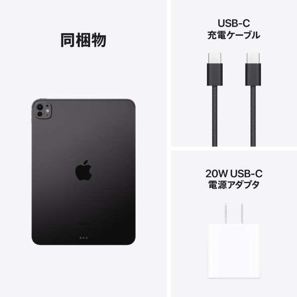 iPad Pro 11インチ Wi-Fi 256GB 2024年春モデル MVV83J/A [スペースブラック] 商品画像10：沙羅の木 plus