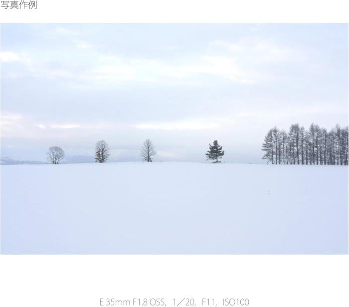 E 35mm F1.8 OSS SEL35F18 商品画像12：沙羅の木 plus