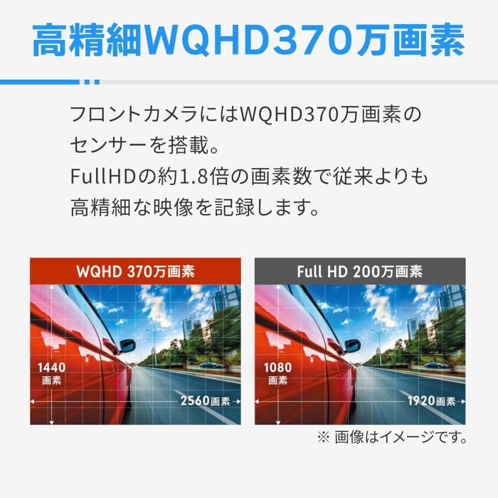 ZDR065 商品画像3：沙羅の木 plus