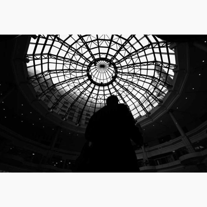 16-30mm F/2.8 Di III VXD G2 (Model A064) [ニコンZ用] 商品画像9：沙羅の木 plus