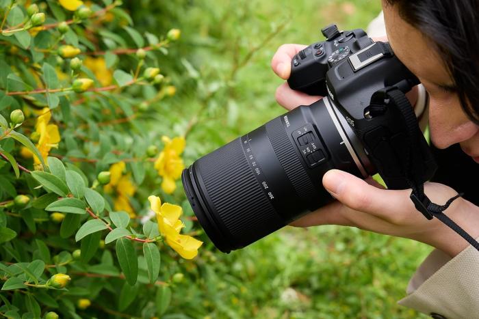 18-300mm F/3.5-6.3 Di III-A VC VXD (Model B061) [キヤノンRF用] 商品画像5：沙羅の木 plus