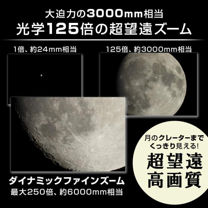 COOLPIX P1000 商品画像9：沙羅の木 plus