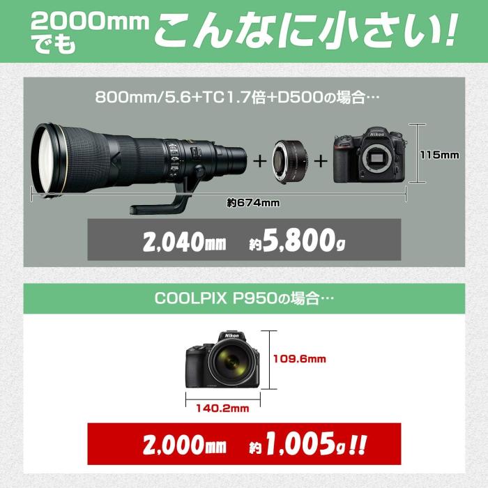 COOLPIX P950 商品画像13：沙羅の木 plus