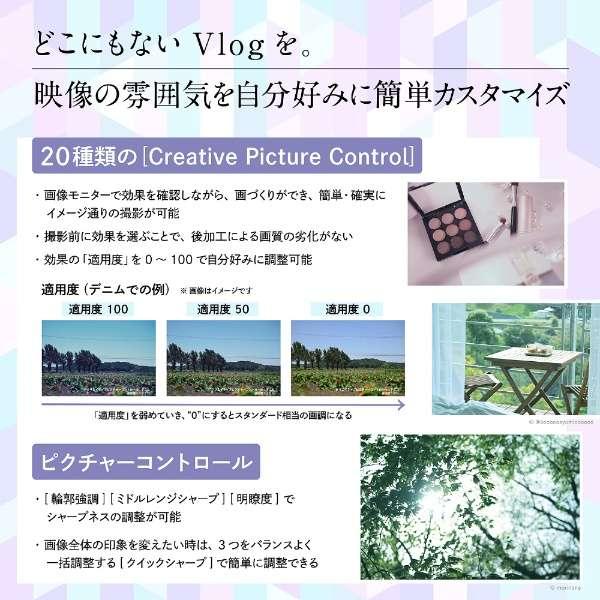 Z 30 16-50 VR レンズキット 商品画像11：沙羅の木 plus