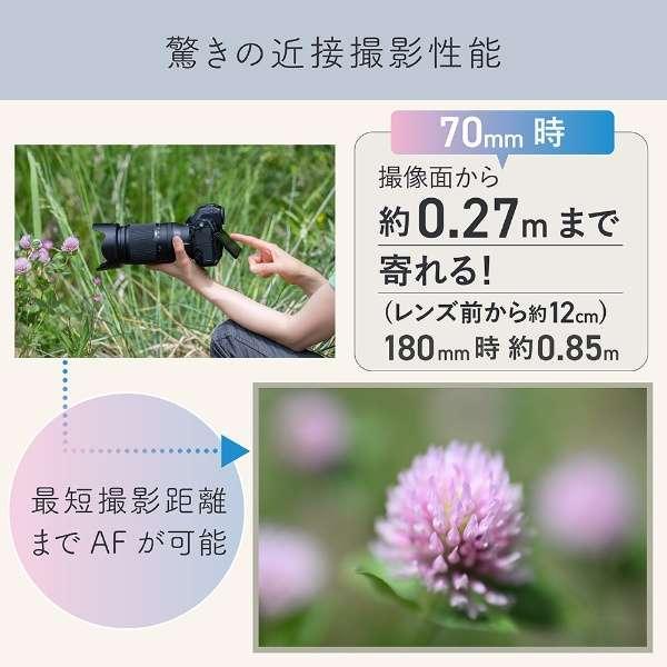 NIKKOR Z 70-180mm f/2.8 商品画像7：沙羅の木 plus