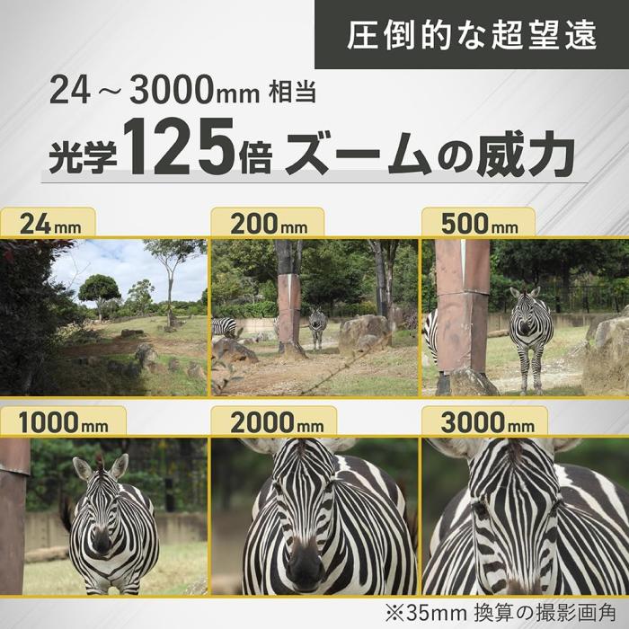 COOLPIX P1100 商品画像16：沙羅の木 plus