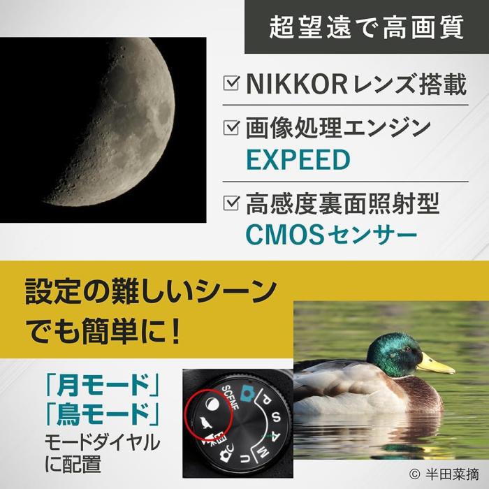 COOLPIX P1100 商品画像17：沙羅の木 plus