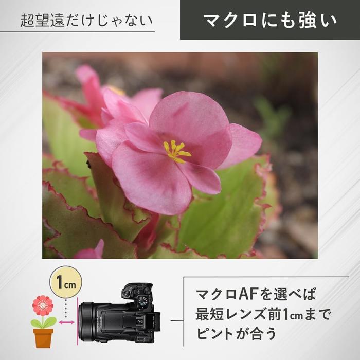 COOLPIX P1100 商品画像18：沙羅の木 plus