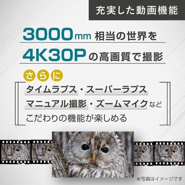 COOLPIX P1100 商品画像19：沙羅の木 plus
