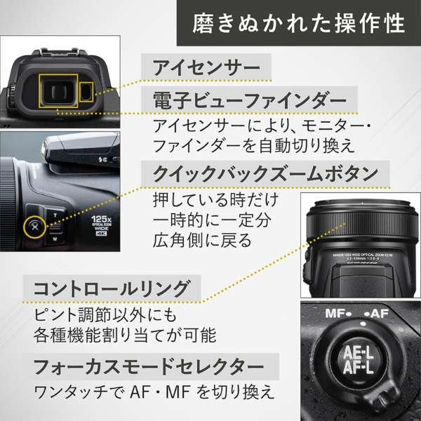 COOLPIX P1100 商品画像20：沙羅の木 plus