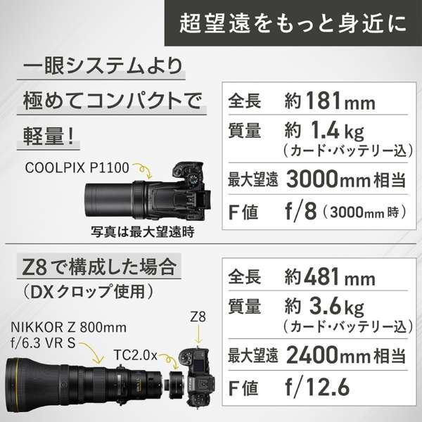 COOLPIX P1100 商品画像21：沙羅の木 plus