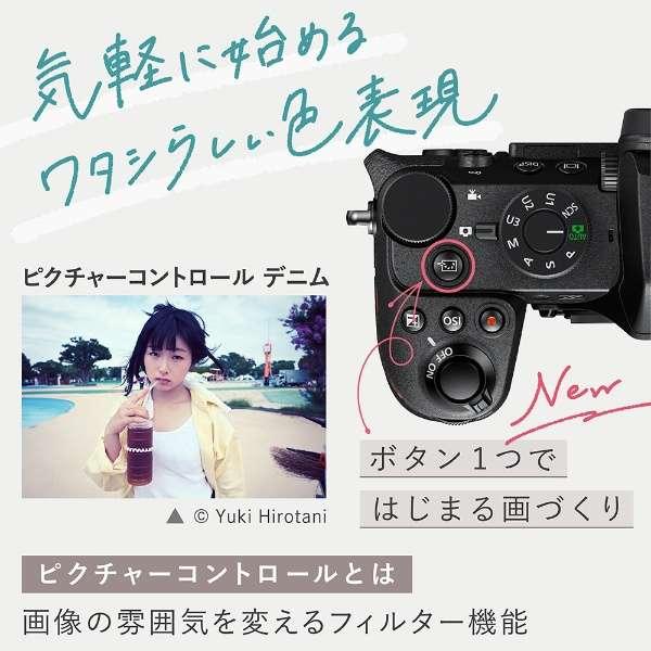 Z50II 18-140 VR レンズキット 商品画像3：沙羅の木 plus