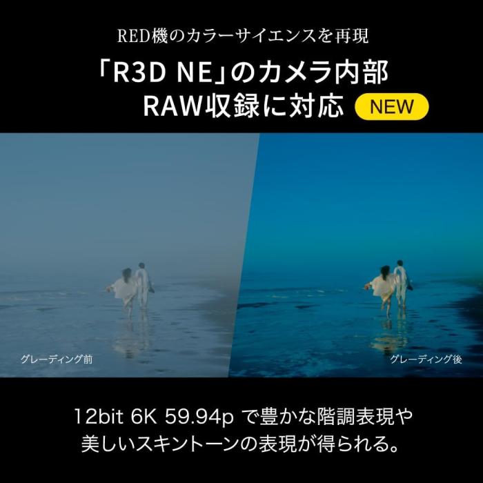 ZR ボディ 商品画像4：沙羅の木 plus