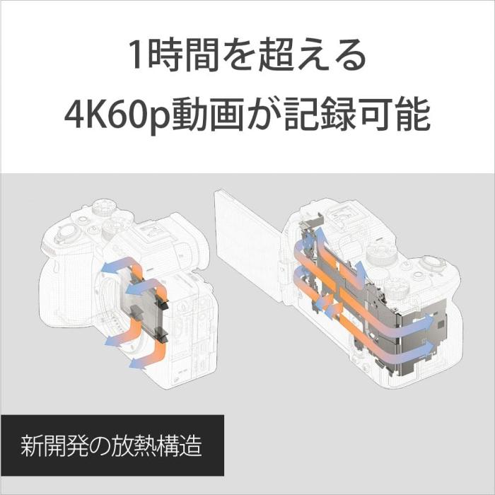 α7S III ILCE-7SM3 ボディ 商品画像9：沙羅の木 plus