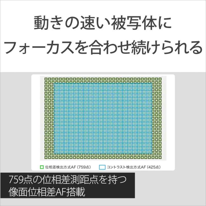 α7S III ILCE-7SM3 ボディ 商品画像10：沙羅の木 plus