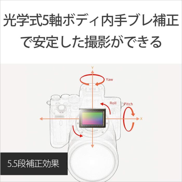 α7S III ILCE-7SM3 ボディ 商品画像12：沙羅の木 plus