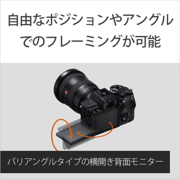 α7S III ILCE-7SM3 ボディ 商品画像13：沙羅の木 plus