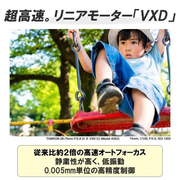 28-75mm F/2.8 Di III VXD G2 (Model A063) [ソニーE用] 商品画像10：沙羅の木 plus